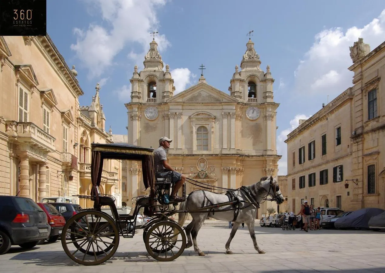 Historical Mdina Gem Lux Home With Rooftop Pool By 360 Estates Malta