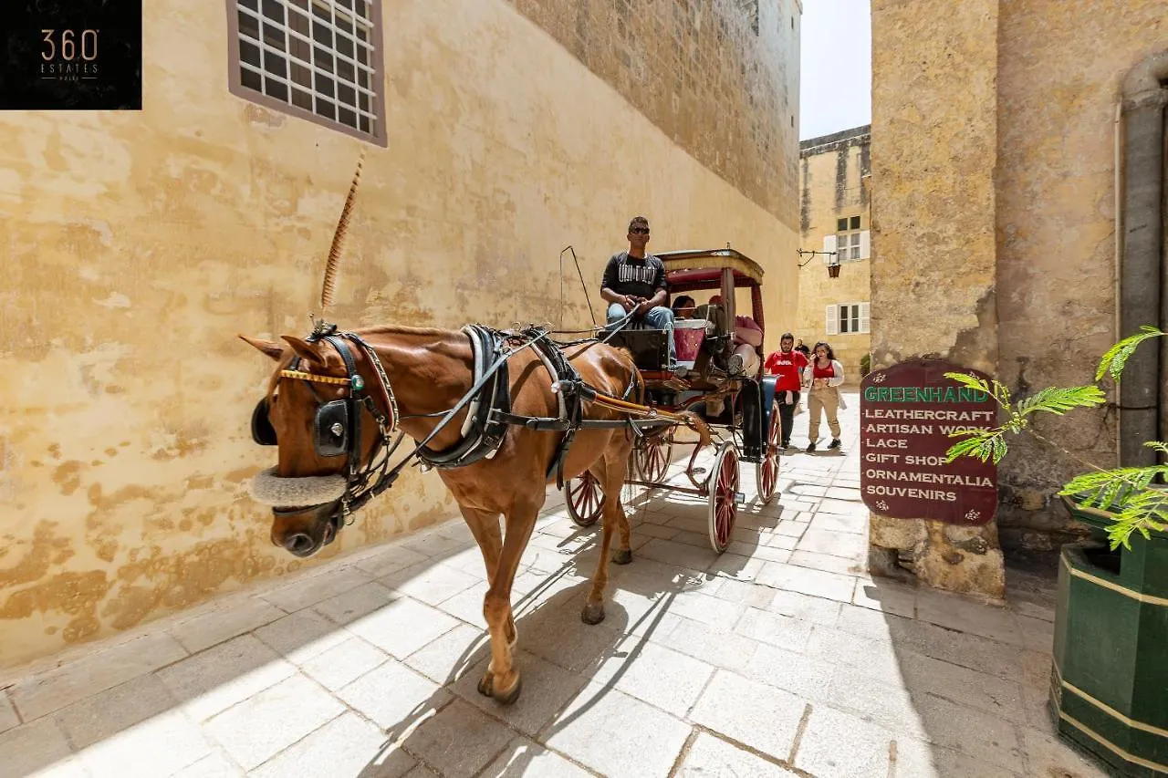 Historical Mdina Gem Lux Home With Rooftop Pool By 360 Estates 0*,  Malta