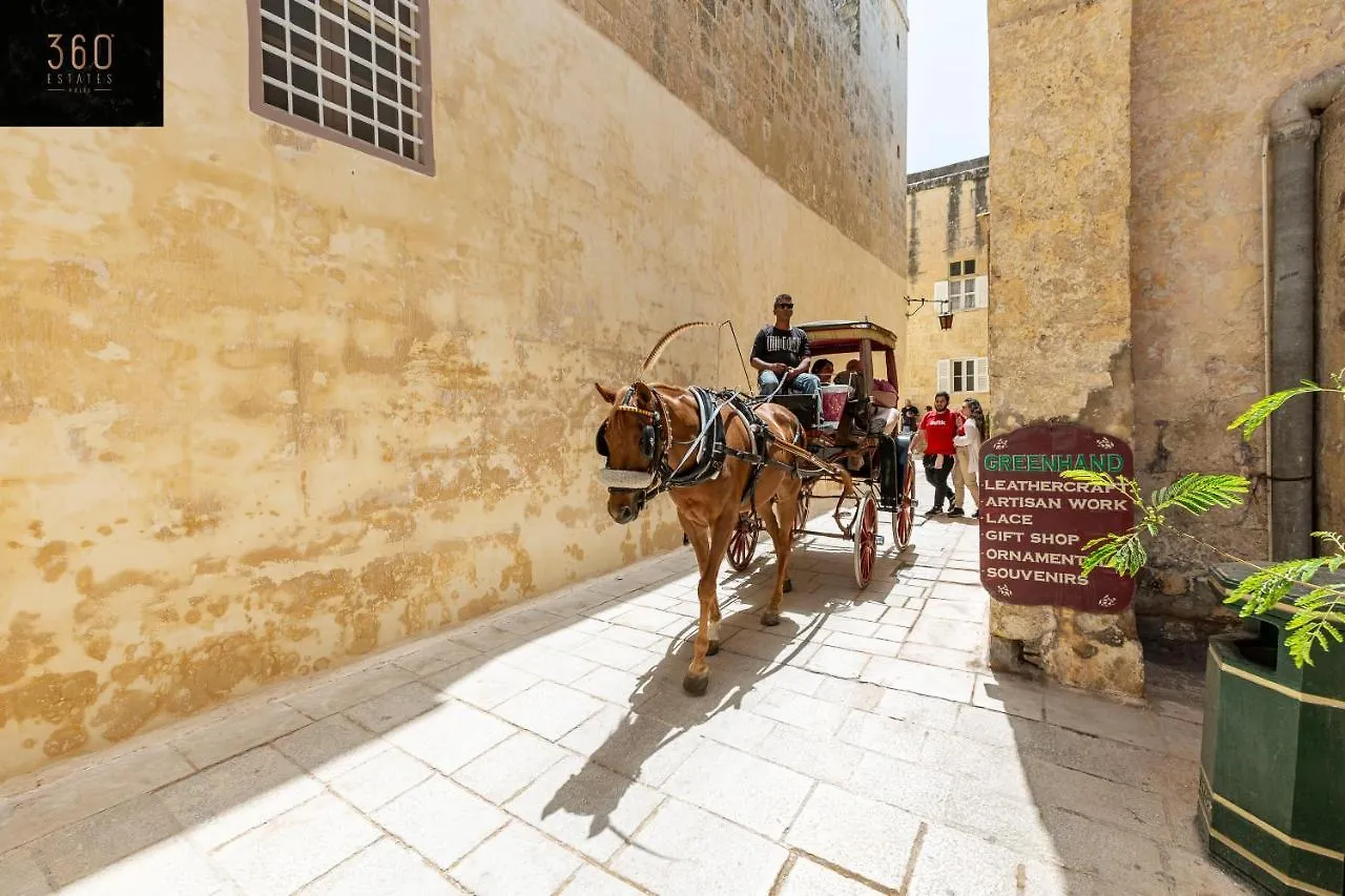 Historical Mdina Gem Lux Home With Rooftop Pool By 360 Estates Apartment